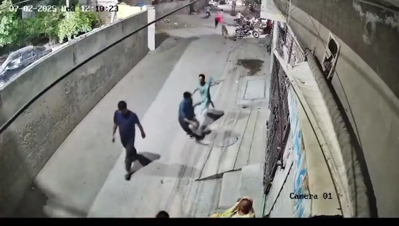 ببینید؛ حمله شیر به یک زن و چند کودک در پاکستان