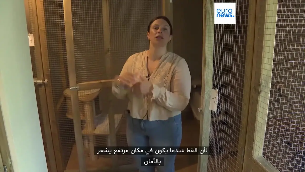 ببینید؛ هتل پنجستاره برای گربهها