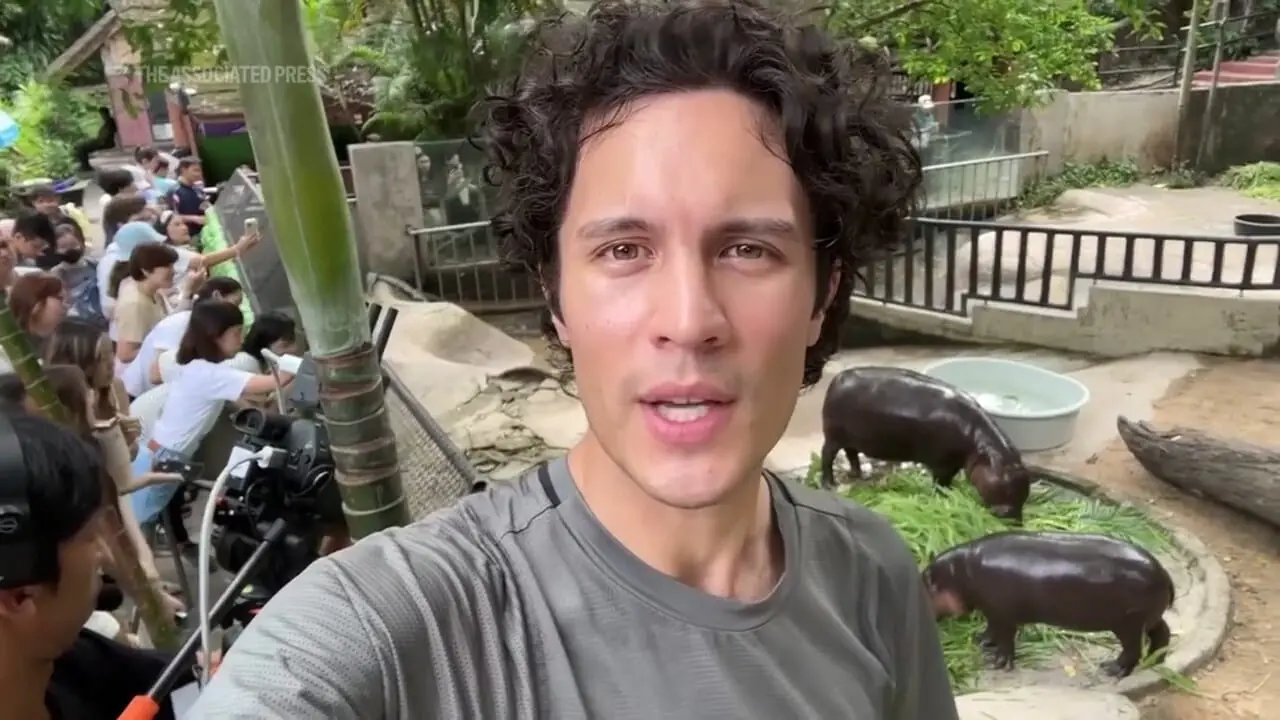 ببینید؛ جشن تولد اسب آبی کوتوله مشهور