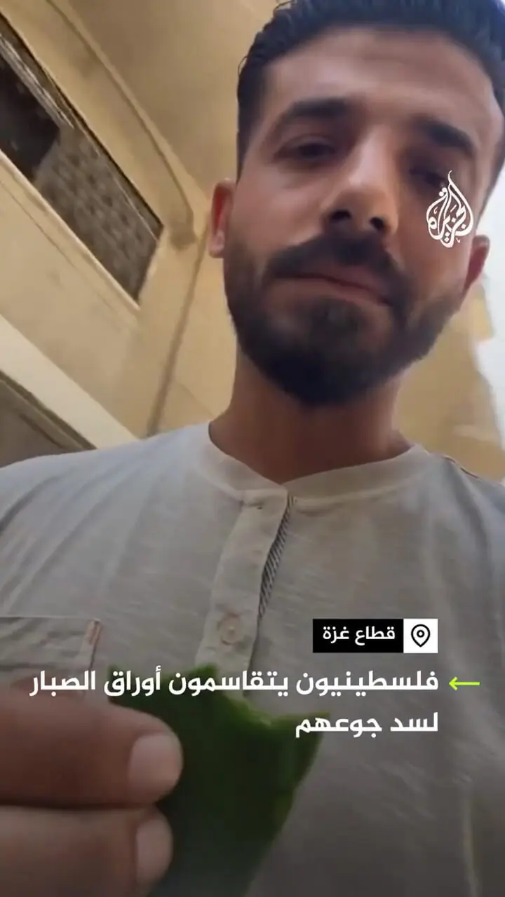 ببینید؛ گرسنگی مردم غزه را به خوردن کاکتوس کشانده است