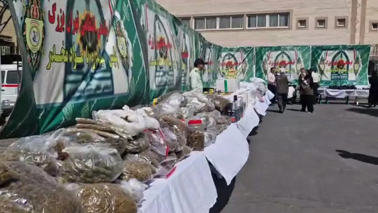 آمار نگران کننده میزان مخدر گل در کشور؛ ۱۰ برابر بیشتر از سایر کشورها