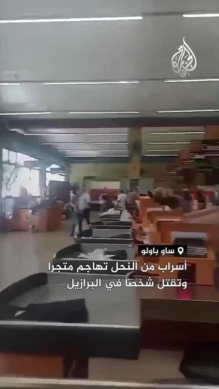 ببینید؛ حمله مرگبار زنبورها به مشتریان یک سوپرمارکت