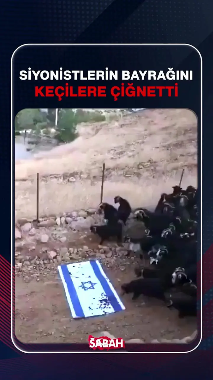 ببینید؛ پرچم اسرائیل توسط گوسفندان لگدمال شد!