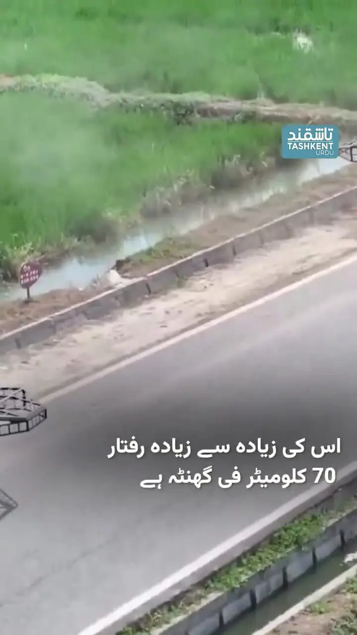 رونمایی از اسکیت‌بورد پرنده جدید در شانگهای چین